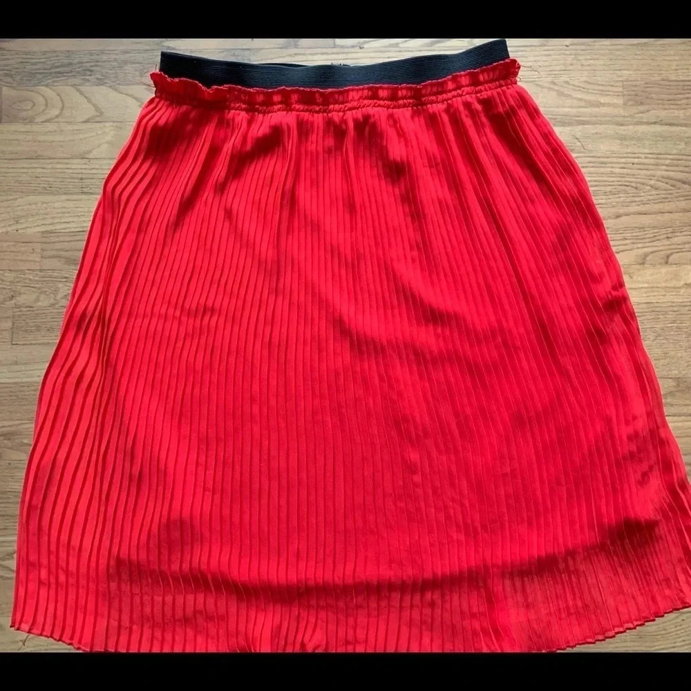 Forever 21 Pleated Skirt